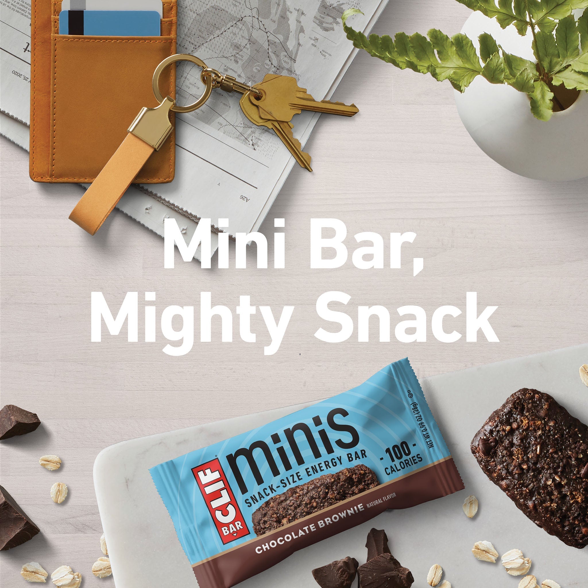 Chocolate Brownie Flavor Minis O1