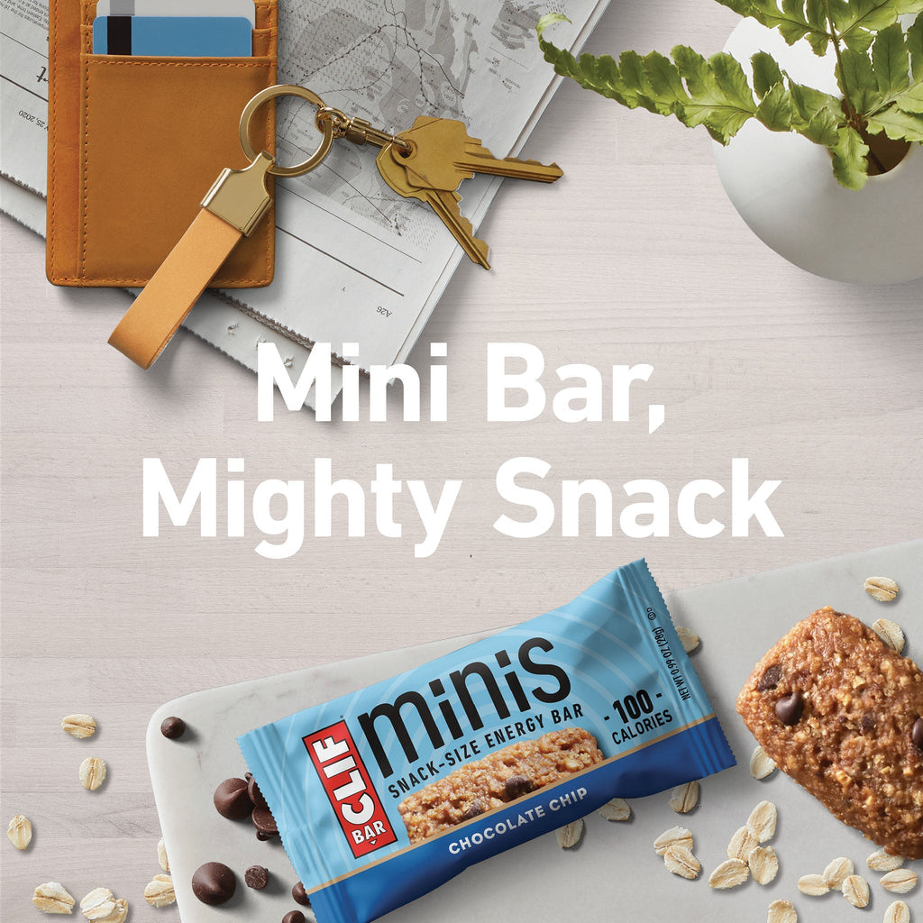 Chocolate Chip Minis S3