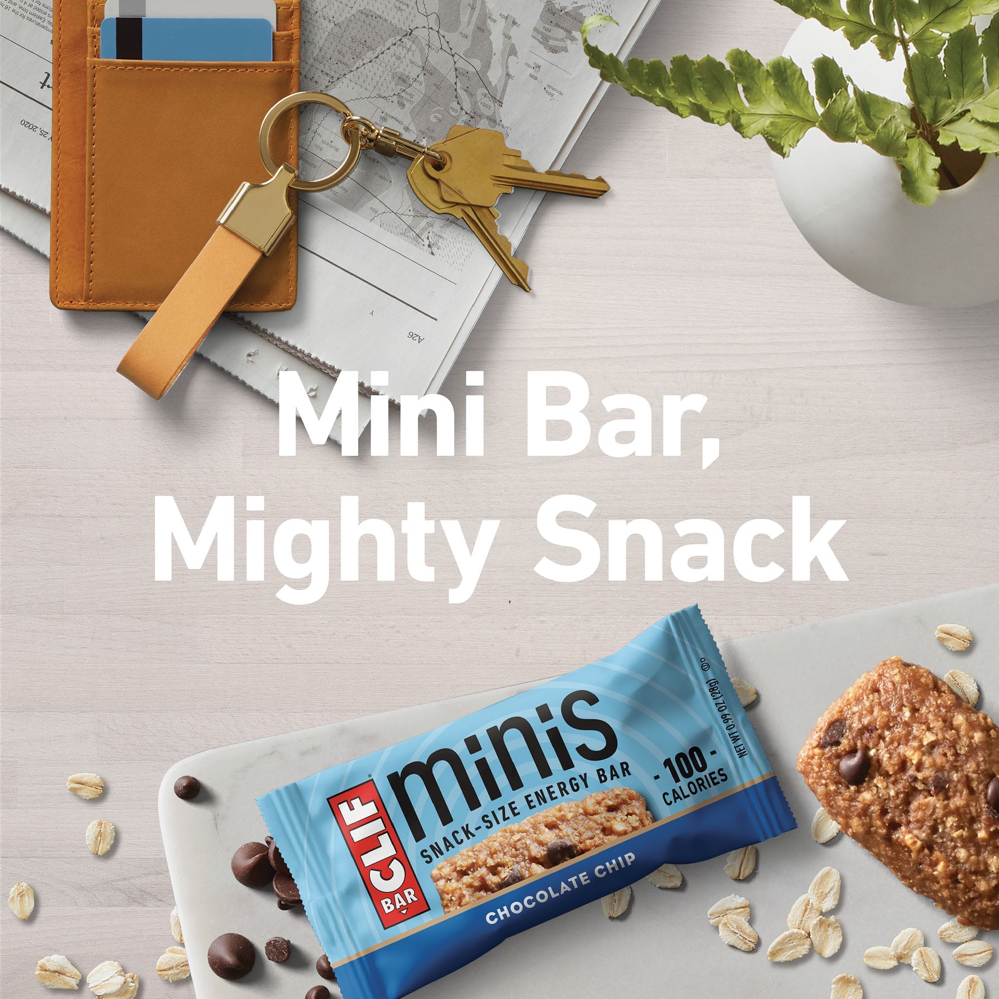 Chocolate Chip Minis S3