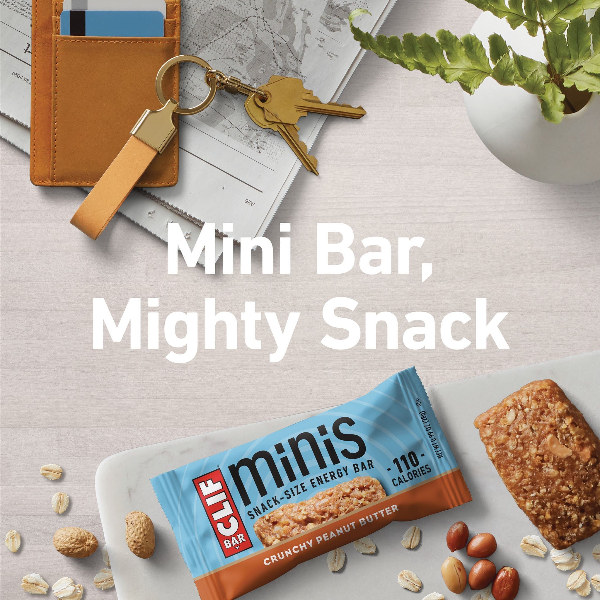 Crunchy Peanut Butter Minis P7
