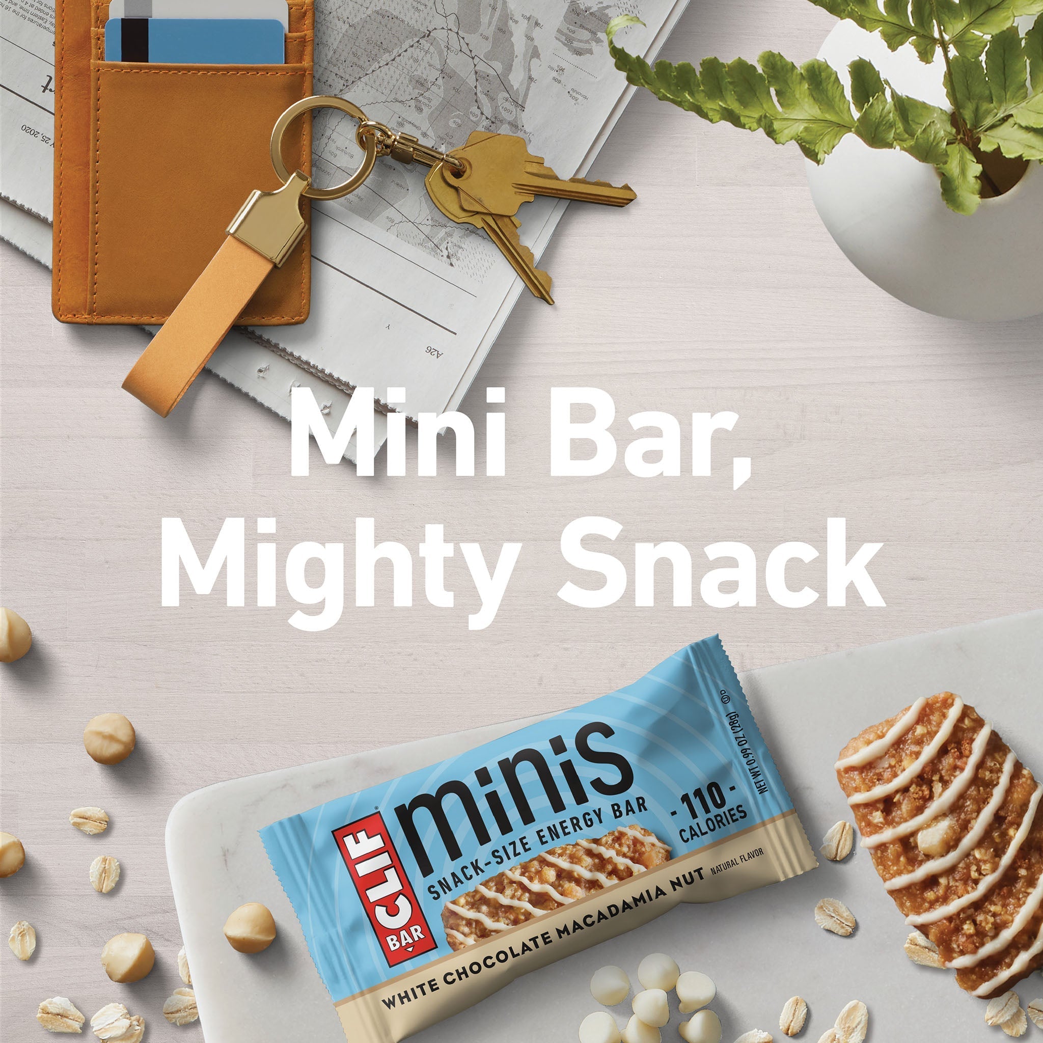 White Chocolate Macadamia Nut Flavor Minis W3